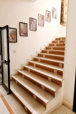 Artisan Carpets from Rajasthan | Premium Handmade Rugs by Saraswati Global